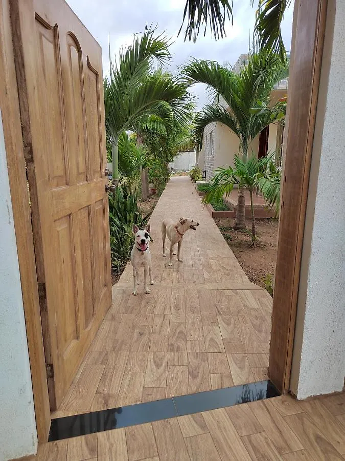 Aparta Suite Villa Roko San Andres  Guest house